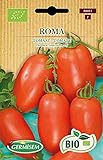 Germisem Orgánica Roma Semillas de Tomate 0.5 g Foto, éxito de ventas 2024-2023 nuevo, mejor precio 3,99 € revisión