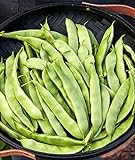 Burpee Early Italian Bush Bean Seeds 2 ounces of seed Photo, bestseller 2024-2023 new, best price $7.21 ($3.60 / Ounce) review