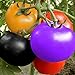 Foto Arcoíris Semillas de Tomate Jardín Orgánico Frutas Semillas de Vegetales Planta Hogar Patio Decoración (100 Piezas) nuevo éxito de ventas 2024-2023