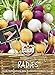 Foto Radieschen Kombination 3 | Zlata, Viola, Albena | 5m Saatband für rund 250 Radieschen Samen neu Bestseller 2024-2023