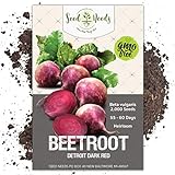 Seed Needs, Detroit Dark Red Beet (Beta vulgaris) Bulk Package of 2,000 Seeds Non-GMO Photo, bestseller 2024-2023 new, best price $7.49 review