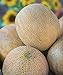 Photo Burpee Ambrosia Cantaloupe Melon Seeds 30 seeds new bestseller 2024-2023