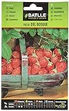Fresas de Bosque Foto, éxito de ventas 2024-2023 nuevo, mejor precio 1,71 € revisión