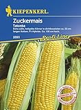 Maissamen - Zuckermais Tatonka von Kiepenkerl Foto, Bestseller 2024-2023 neu, bester Preis 3,34 € Rezension