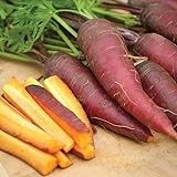 Cosmic Purple Carrot Seeds, 500 Heirloom Seeds Per Packet, Non GMO Seeds, Isla's Garden Seeds Photo, bestseller 2024-2023 new, best price $5.99 ($0.01 / Count) review