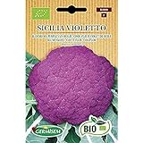 Germisem Orgánica Sicilia Violetto Semillas de Coliflor 1 g (ECBIO3000) Foto, éxito de ventas 2024-2023 nuevo, mejor precio 3,99 € revisión