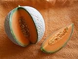 Melone Charentais 5 Samen -Neue Züchtung aus Cantaloupe/Zuckermelone Sehr sehr Süß Foto, Bestseller 2024-2023 neu, bester Preis 1,98 € Rezension