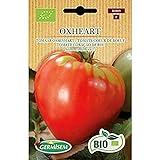 Germisem Orgánica Oxheart Semillas de Tomate 0.5 g (ECBIO8009) Foto, éxito de ventas 2024-2023 nuevo, mejor precio 3,99 € revisión