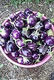 25 Seeds / Purple Eggplant (Baby Eggplants) Photo, bestseller 2024-2023 new, best price $9.25 ($0.37 / Count) review