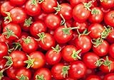 30+ Sweetie Cherry a.k.a. Sugar Sweetie Tomato Seeds, Heirloom Non-GMO, Extra Sweet, Heavy-Yielding, Indeterminate, Open-Pollinated, Delicious, from USA Photo, bestseller 2024-2023 new, best price $2.69 ($38.16 / Ounce) review