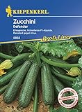 Zucchini Defender F1 Foto, Bestseller 2024-2023 neu, bester Preis 3,96 € Rezension