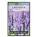 Photo Sow Right Seeds - Lavender Seeds for Planting; Non-GMO Heirloom Seeds with Instructions to Plant and Grow a Beautiful Indoor or Outdoor herb Garden; Great Gardening Gift new bestseller 2024-2023