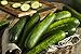 Photo Sweeter Yet Hybrid Cucumber Seeds - Non-GMO - 10 Seeds new bestseller 2024-2023