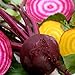 Photo Beets - Gourmet Mix of Beet Seeds ► Non-GMO Red & Yellow Beet Seeds (100+ Seeds) ◄ by PowerGrow Systems new bestseller 2024-2023