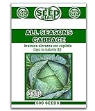 All Seasons Cabbage Seeds - 250 SEEDS Photo, bestseller 2024-2023 new, best price $1.59 review