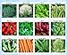 Photo Premium Winter Vegetable Seeds Collection Organic Non-GMO Heirloom Seeds 12 Varieties: Radish, Pea, Broccoli, Beet, Carrot, Cauliflower, Green Bean, Kale, Arugula, Cabbage, Asparagus, Brussel Sprout new bestseller 2024-2023