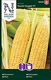 Zuckermais Samen Sweet Nugget F1 - Nelson Garden Saatgut für Gemüse - Mais Samen (15 Stück) (Mais, Einzelpackung) Foto, Bestseller 2024-2023 neu, bester Preis 4,95 € Rezension