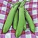 Photo Thai Long Green Eggplant Seeds (25+ Seeds) new bestseller 2024-2023