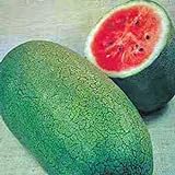 Watermelon, Charleston Grey, Heirloom,100 Seeds, Large Photo, bestseller 2024-2023 new, best price $2.99 ($0.03 / Count) review