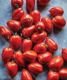 Burpee 'Big Mama' Hybrid | Large Red Paste Tomato | 50 Seeds Photo, bestseller 2024-2023 new, best price $7.47 ($0.15 / Count) review