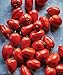Photo Burpee 'Big Mama' Hybrid | Large Red Paste Tomato | 50 Seeds new bestseller 2024-2023