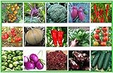 Gemüse Set 2: Broccoli Gurken Zwiebel Rosenkohl Kohlrabi Aubergine Salat Tomate Chili Paprika Melone Samen Saatgut Foto, Bestseller 2024-2023 neu, bester Preis 6,95 € Rezension