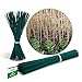 Foto Novatool 100 varillas de madera de bambú, 70 cm x 6 mm, color verde, para plantas nuevo éxito de ventas 2024-2023