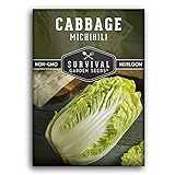 Survival Garden Seeds - Michihili Napa / Nappa Cabbage Seed for Planting - Pack with Instructions to Plant and Grow Brassica Vegetables in Your Home Vegetable Garden - Non-GMO Heirloom Variety Photo, bestseller 2024-2023 new, best price $4.99 review