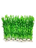 BEGONDIS 14 Pcs Artificial Green Seaweed Water Plants, Fish Tank Aquarium Decorations, Made of Soft Plastic Photo, bestseller 2024-2023 new, best price $13.99 review