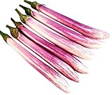 Chinese, Eggplant Seed - The Bride - 300 Heirloom Seeds - Non GMO - Neonicotinoid-Free Photo, bestseller 2024-2023 new, best price $9.99 review