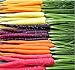 Photo MySeeds.Co Big Pack - (3,500+) Rainbow Mix Carrot Seeds - Atomic Red, Bambino Orange, Cosmic Purple, Lunar White and Solar Yellow Seeds (Big Pack - Carrot Rainbow Mix) new bestseller 2024-2023