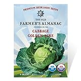 The Old Farmer's Almanac Heirloom Cabbage Seeds (Golden Acre) - Approx 950 Seeds Photo, bestseller 2024-2023 new, best price $4.29 ($0.00 / Count) review