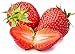 Photo Strawberry Seeds for Planting in Your Indoor or Outdoor Garden: Non-GMO,Non-Hybrid,Heirloom and Organic (100PCS) new bestseller 2024-2023
