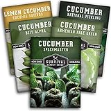 Survival Garden Seeds Cucumber Collection - Mix of Armenian, Beit Alpha, Lemon, National Pickling, & Spacemaster Seed Packets to Grow Vining Vegetables on The Homestead - Non GMO Heirloom Seed Vault Photo, bestseller 2024-2023 new, best price $10.99 review