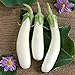 Photo David's Garden Seeds Eggplant Casper 3411 (White) 50 Non-GMO, Open Pollinated Seeds new bestseller 2024-2023