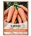 Photo Carrot Seeds for Planting - Scarlet Nantes - Daucus Carota - is A Great Heirloom, Non-GMO Vegetable Variety- 2 Grams Seeds Great for Outdoor Spring, Winter and Fall Gardening by Gardeners Basics new bestseller 2024-2023