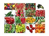 Please Read! This is A Mix!!! 30+ Hot Pepper Mix Seeds, 16 Varieties Heirloom Non-GMO Habanero, Tabasco, Jalapeno, Yellow and Red Scotch Bonnet, Ships from USA! US Grown. Photo, bestseller 2024-2023 new, best price $5.69 review