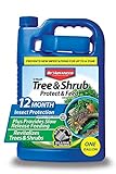 BioAdvanced 701615A Gal Tree and Shrub Control, 1 gallon, Concentrate Photo, bestseller 2024-2023 new, best price $74.99 review