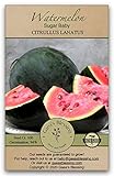 Gaea's Blessing Seeds - Sugar Baby Watermelon Seeds (3.0g) Non-GMO Seeds with Easy to Follow Planting Instructions - Heirloom 94% Germination Rate Photo, bestseller 2024-2023 new, best price $4.99 review
