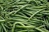 Blue Lake Pole Bean Seeds - Non-GMO - 2 ounces, approximately 175 seeds Photo, bestseller 2024-2023 new, best price $6.99 review