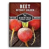 Survival Garden Seeds - Detroit Golden Beet Seed for Planting - Packet with Instructions to Plant and Grow Sweet Yellow Root Vegetables in Your Home Vegetable Garden - Non-GMO Heirloom Variety Photo, bestseller 2024-2023 new, best price $4.99 review