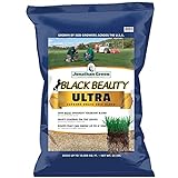 Jonathan Green 10323 Black Beauty Ultra Mixture, 25-Pound Photo, bestseller 2024-2023 new, best price $102.48 ($0.26 / Ounce) review