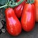 Photo Organic San Marzano Short Vine Tomato ~25 Seeds - Organic, Heirloom, Open Pollinated, Non-GMO, Farm & Vegetable Gardening Seeds new bestseller 2024-2023