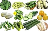 100+ Cucumber Mix Seeds 12 Varieties Non-GMO Delicious and Crispy, Grown in USA. Rare and Super Prolific Photo, bestseller 2024-2023 new, best price $6.25 ($35.43 / Ounce) review