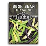 Survival Garden Seeds - Tri-Color Bean Seed for Planting - Packet with Instructions to Plant and Grow Yellow, Purple, and Green Bush Beans in Your Home Vegetable Garden - Non-GMO Heirloom Variety Photo, bestseller 2024-2023 new, best price $4.99 review