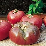 Burpee 'Cherokee Purple' Heirloom | Large Slicing Tomato | Rich Flavor Photo, bestseller 2024-2023 new, best price $7.30 review