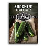 Survival Garden Seeds - Black Beauty Zucchini Seed for Planting - Pack with Instructions to Plant and Grow Dark Green Zucchini in Your Home Vegetable Garden - Non-GMO Heirloom Variety - 1 Pack Photo, bestseller 2024-2023 new, best price $4.99 review