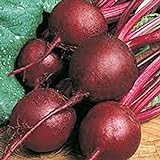 Beets,Ruby Queen, Heirloom, Non GMO, 100 Seeds, Tender and Sweet, DEEP RED Photo, bestseller 2024-2023 new, best price $2.99 review
