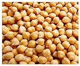 Garbanzo Bean Seeds - Chickpea Seeds - 30+ Seeds Photo, bestseller 2024-2023 new, best price $9.99 ($19.98 / Ounce) review