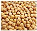 Photo Garbanzo Bean Seeds - Chickpea Seeds - 30+ Seeds new bestseller 2024-2023